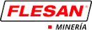 Flesan